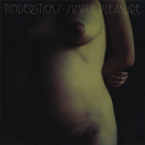 Music on Vinyl Tindersticks: Simple Pleasure - 2Vinyl (LP) (041572)