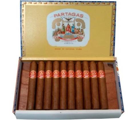 Partagas Shorts