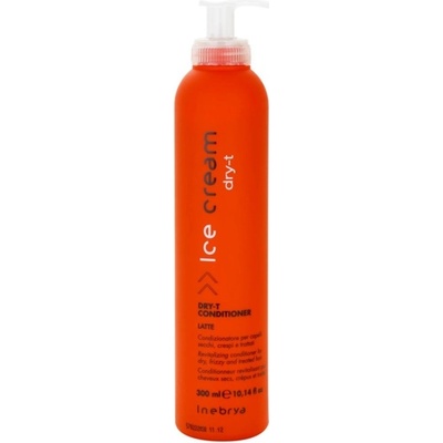 Inebrya Dry-T revitalizační kondicionér pro suché a poškozené vlasy Revitalizing Conditioner for Dry Frizzy and Treated Hair 300 ml