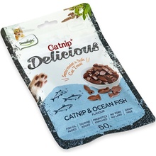 Dentalight Catnip Delicious Ocean Fish Flavour 50 g