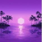 Purple Disco Machine - Paradise (CD) (0198028189323)