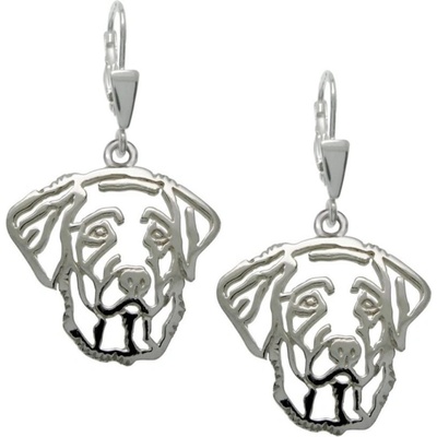 Stříbrné tlapky Labradorský retriever 223