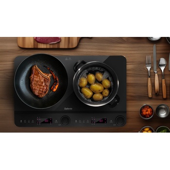 Salente InductPro1