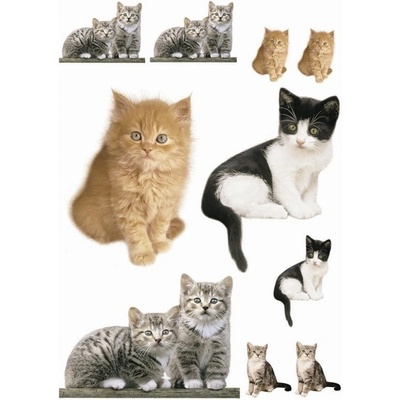 Samolepicí dekorace 50x70cm na zeď Freestyle Kitty 17010