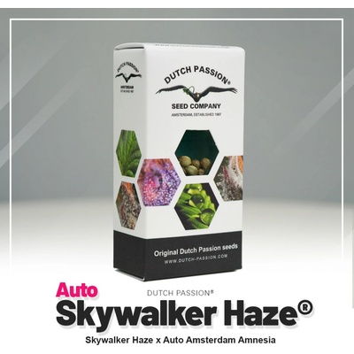 Dutch Passion AUTO Skywalker Haze semienka neobsahujú THC 3 ks