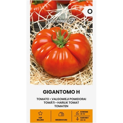 Seklos Домат Гигантомо F1 (достига до 1кг) Gigantomo H