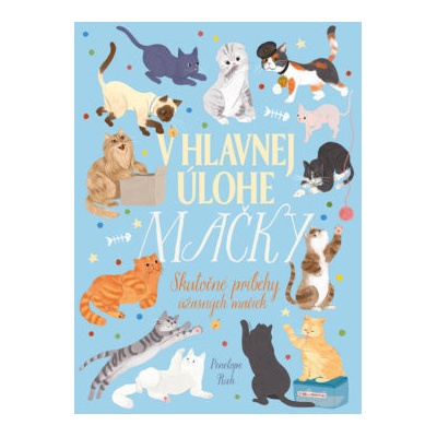 V hlavnej úlohe mačky