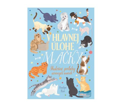 V hlavnej úlohe mačky