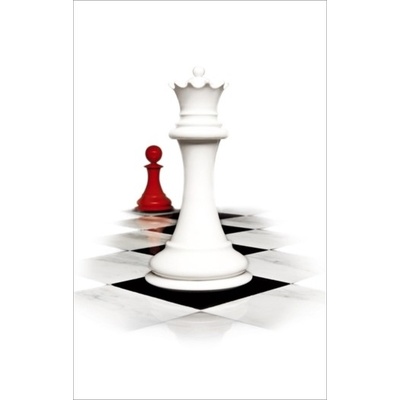 Breaking dawn v bielom Stephenie Meyer