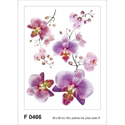 AG Design F-0466 Orchidee, samolepka na zeď 65x85cm