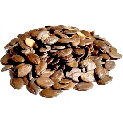 Bylík Dýně semínko loupané 1 kg