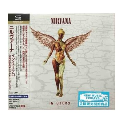 Nirvana: In Utero DLX CD 2