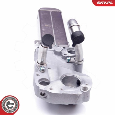 AGR-Ventil ESEN SKV 14SKV137