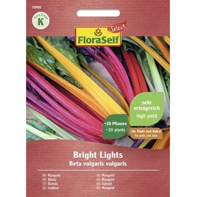 Mangold Bright Lights FloraSelf Select