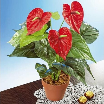 Die moderne Hausfrau Umělá květina - Anthurium / Flamingo