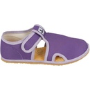 Antal Rascal basic purple