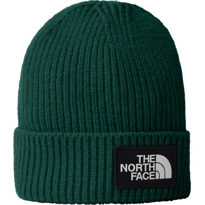 Dětské Zimní čepice THE NORTH FACE KIDS TNF BOX LOGO CUFFED BEANIE NF0A7WGCNL11 Zelená