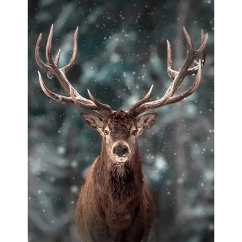 Norimpex - Puzzle Diamant painting: Portrait of a deer 30x40cm - 1 - 39 piese
