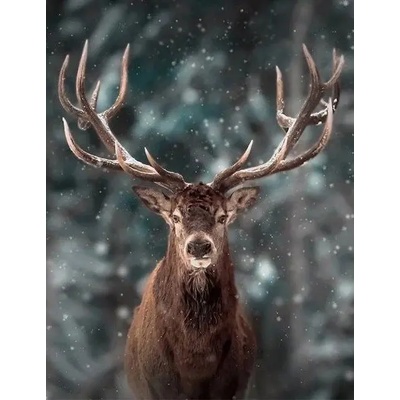 Norimpex - Puzzle Diamant painting: Portrait of a deer 30x40cm - 1 - 39 piese