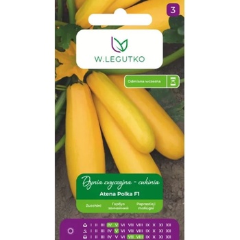 W. Legutko Обикновена тиква - Atena Polka F1 тиквичка - златистооранжева