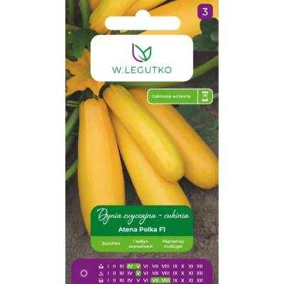 W. Legutko Обикновена тиква - Atena Polka F1 тиквичка - златистооранжева