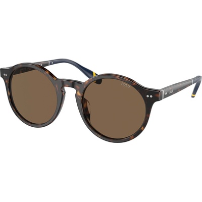 Ralph Lauren PH4204U 500373 (PH4204U 500373)