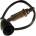 DELPHI Lambda sonda ES1029012B1