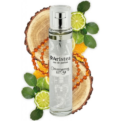 Aristea Numeros 117 H parfémovaná voda pánská 50 ml