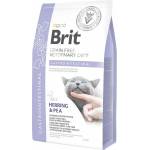 Brit Gluten & Grain Free VD Gastrointestinal-Low Fat 2 kg