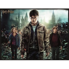 PRIME 3D Harry Potter: Harry Herminona & Ron XL 300 dílků