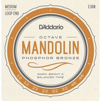 D'Addario EJ80