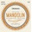 D'Addario EJ80