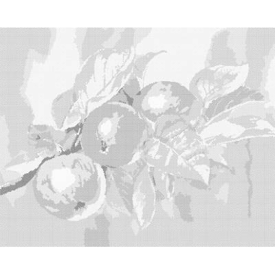 ZUTY Bodkovanie - JABLOŇ Rámovanie: vypnuté plátno na rám, Rozmer: 40x50 cm