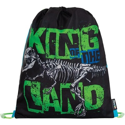 Oxybag vak na záda Premium Dinosaurus – Hledejceny.cz
