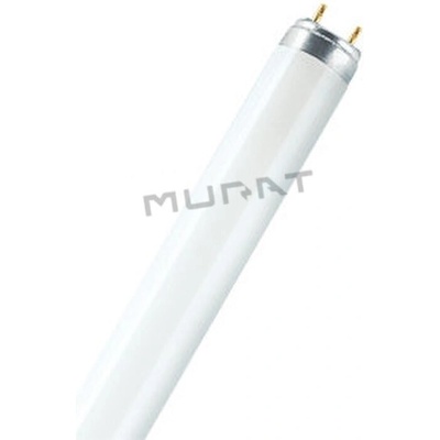 Osram Žiarivka neónová trubica T8 58W/865 1500mm