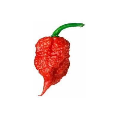 Need For Seed Chilli Carolina Reaper semena 10 ks