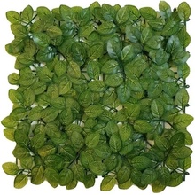 FITTONIA ECONOMY, dílec 50 x 50 cm