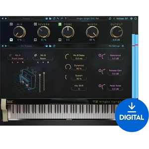 Boz Digital Labs Ningbo Felt 2021 Pro (Дигитален продукт)