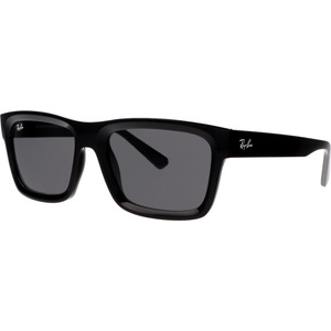 Ray-Ban Warren RB4396 667787 Слънчеви очила
