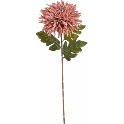 Chryzantéma 72 cm - starorůžová/fialová žíhaná