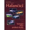 Halančíci