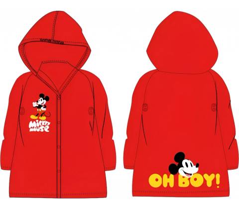 DISNEY Mickey mouse