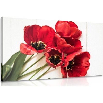 Obraz rozkvetlé červené tulipány - 120x80