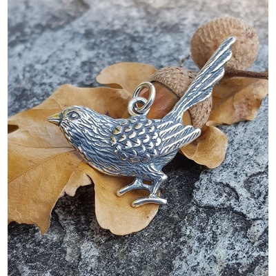 Drakkaria SÝKORKA stříbrný přívěšek P3453