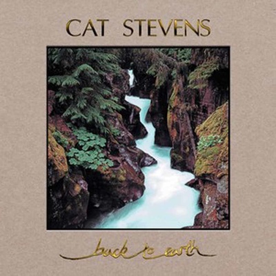 YUSUF/STEVENS, CAT - BACK TO EARTH LP