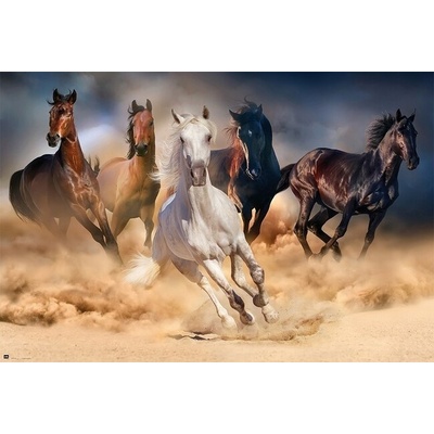 Plakát, Obraz - Koně - Five horses, 91.5 × 61 cm