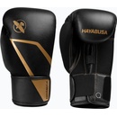 Hayabusa E1