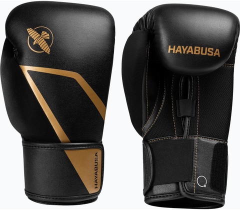 Hayabusa E1