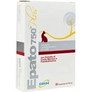 ICF s.r.l. Epato 750 30 tbl