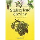 Stálezelené dřeviny